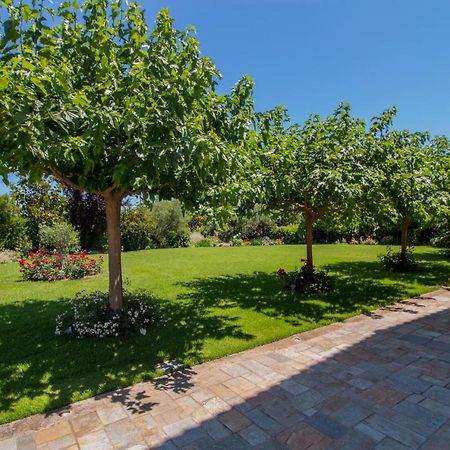 Villa Rodoula In Mystras Sparta Ngoại thất bức ảnh