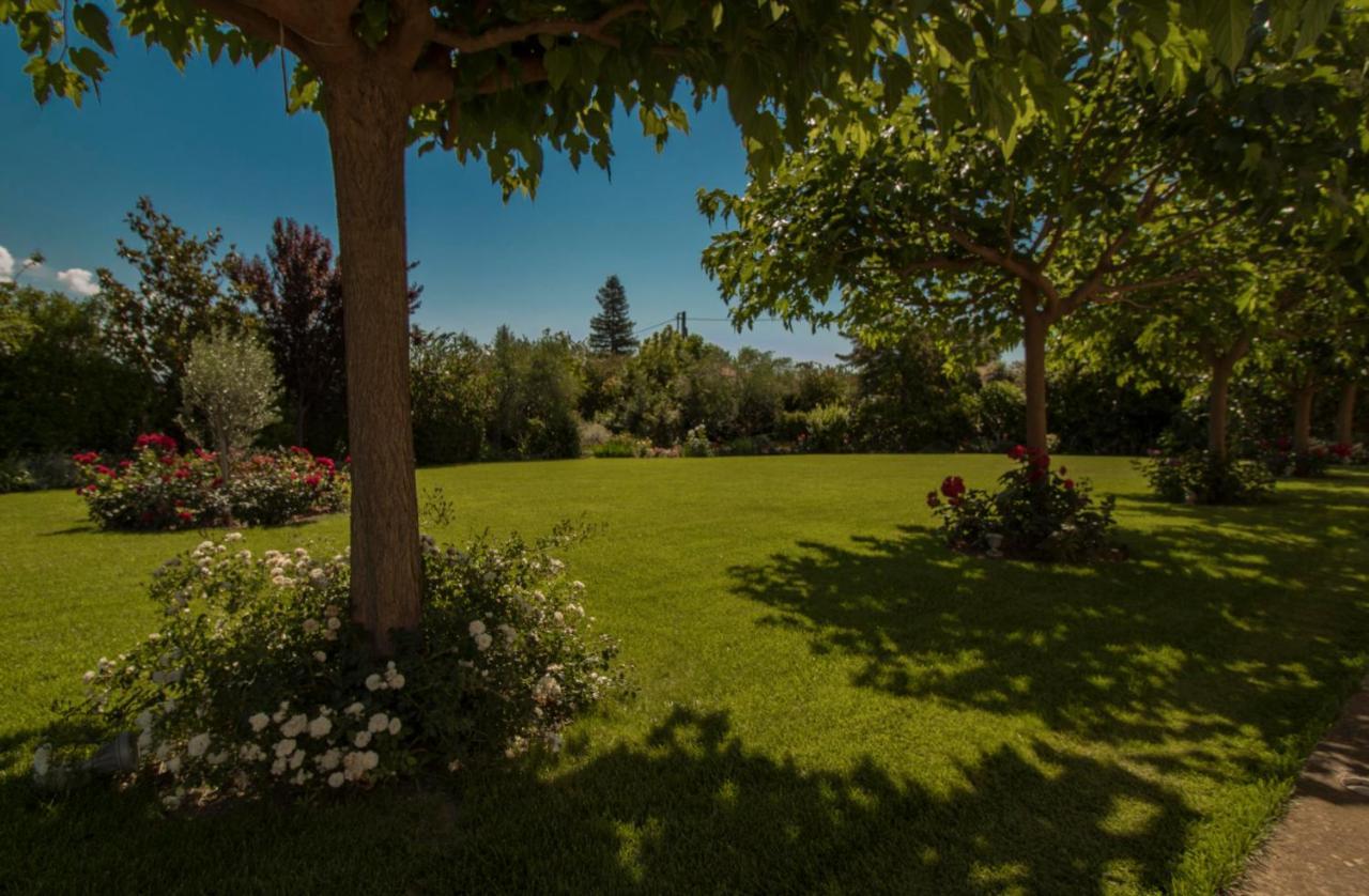 Villa Rodoula In Mystras Sparta Ngoại thất bức ảnh