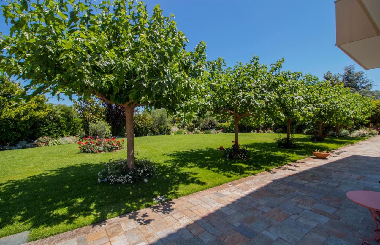 Villa Rodoula In Mystras Sparta Ngoại thất bức ảnh